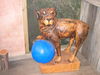 Filename=Copy_of_124_2429.JPG
Filesize=1290KB
Dimensions=2272x1704
Date added=Sep 21, 2006 Copy_of_124_2429.JPG
