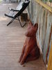 Filename=Copy_of_DSC00075.JPG
Filesize=547KB
Dimensions=960x1280
Date added=Sep 21, 2006 Copy_of_DSC00075.JPG